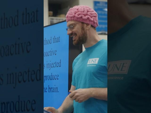 UNE Brain Fair – 2024