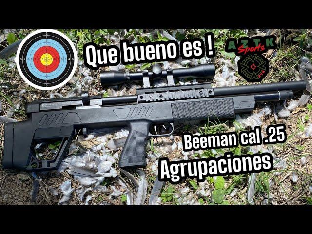 QUE BUENO ES ESTE PCP / AGRUPACIONES CON BEEMAN COMMODORE .25 AZTK