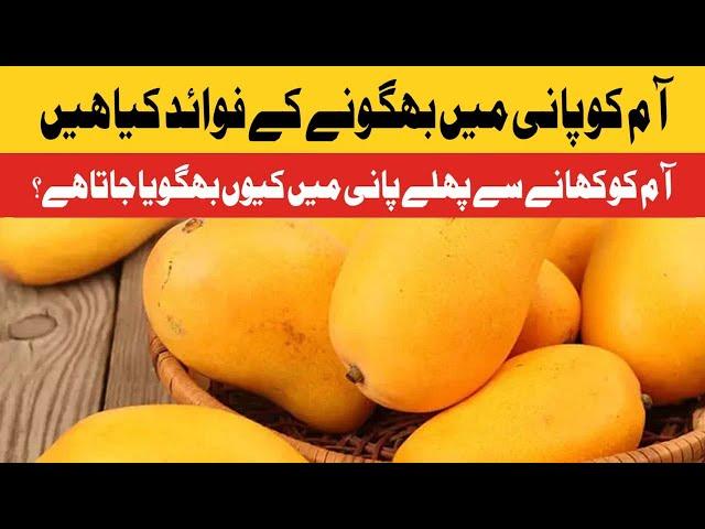 What are the benefits of soaking mangoes in water? | Daily Jang