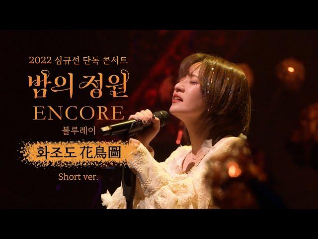 심규선 Concert Live - 화조도 花鳥圖 Short Ver.