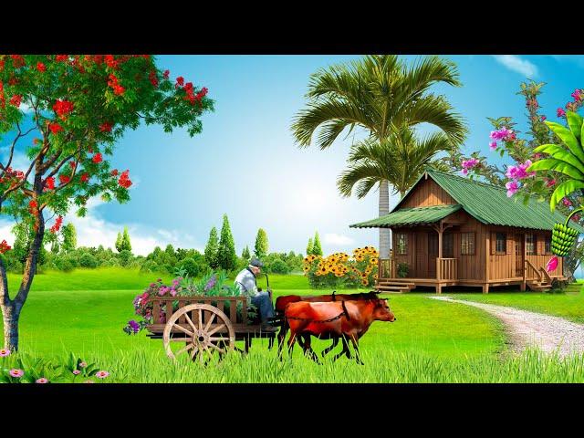 4K Beautiful Rustic Nature Video HD | Landscape Nature Background Video