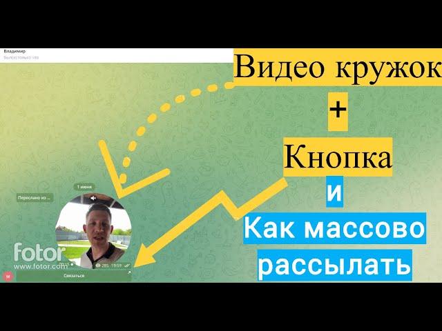 Рассылка в телеграм. Видео кружок + кнопка