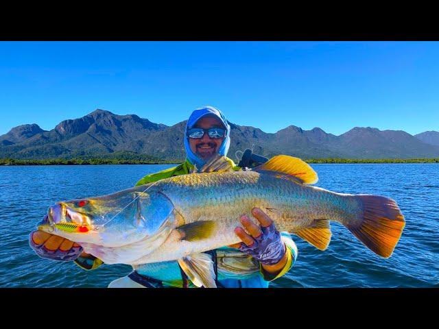 Pitching for Barramundi