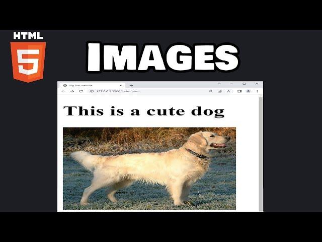 Learn HTML images in 6 minutes! ️