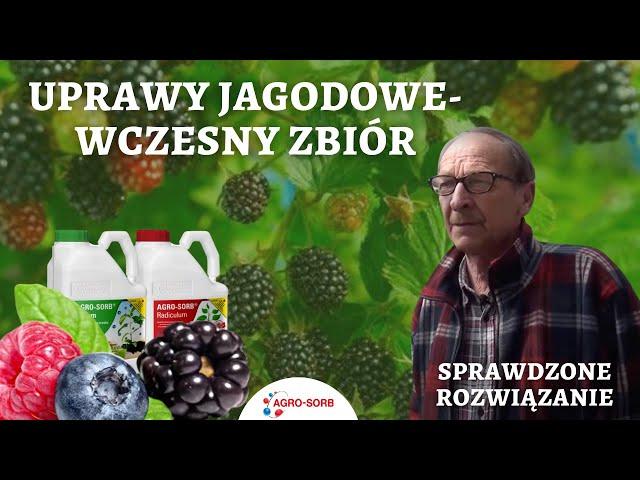 Uprawy jagodowe- wczesny zbiór-Polskie Aminokwasy Agrosorb - Radiculum, Folium - Opinia o produktach