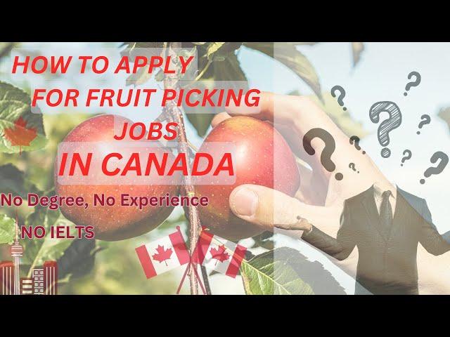 HOW TO APPLY FOR FRUIT PICKING JOBS IN CANADA#movetocanada