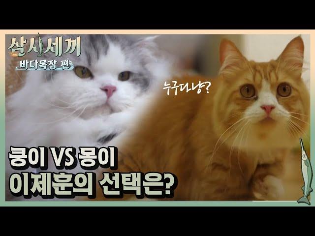 친쿵파 vs 친몽파! 과연 이제훈의 선택은?!ㅣ#삼시세끼바다목장편 170825 EP.4 #03