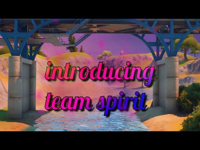 Do you want to join a *FORTNITE* TEAM? #Spirit2020