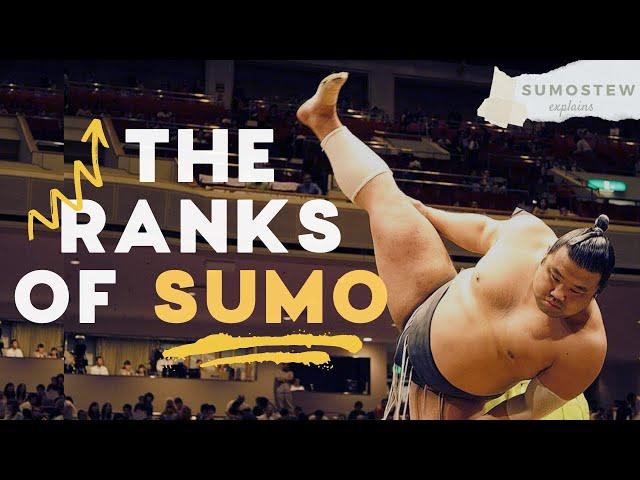 How Sumo Wrestlers are Ranked | Sumo Divisions, Promotions, & Banzuke Explained