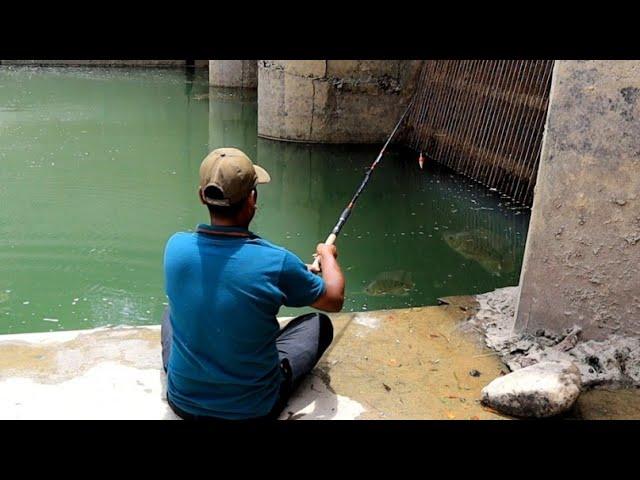 AWSOME fishing|fisherman catching defrent fishes with small hook| 2022