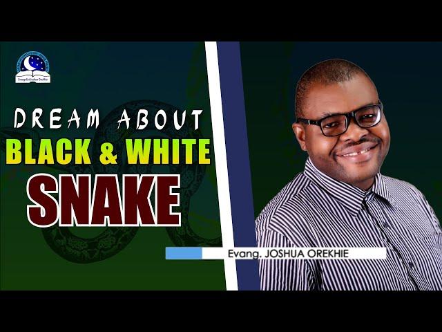 Black and White Snake Dream Meaning - Biblical Meaning from Evangelist Joshua