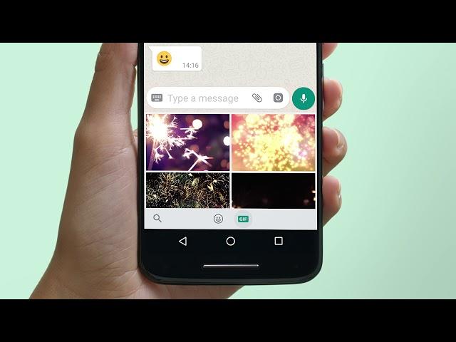 How to Use and Send GIFs | WhatsApp