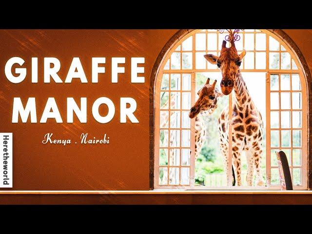 Giraffe Manor Hotel Kenya | an amazing stay experience with giraffes | 2024