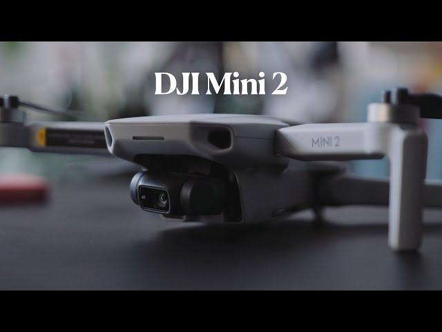 DJI Mini 2 Review - Not just for beginners!