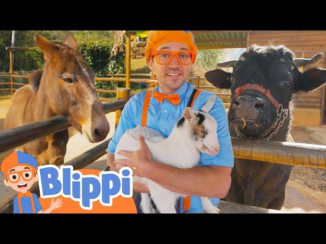 Blippi's Farm Animal Adventure | Best Animal Videos for Kids | Kids Songs and Nursery Rhymes