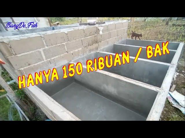 Proses Pembuatan Bak/Kolam Cupang - Fish/ Betta Pond Build DIY - Time Lapse