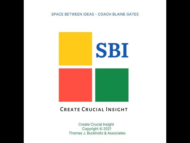 Create Crucial Insight in 20 minutes (Author Thomas J Buckholtz)