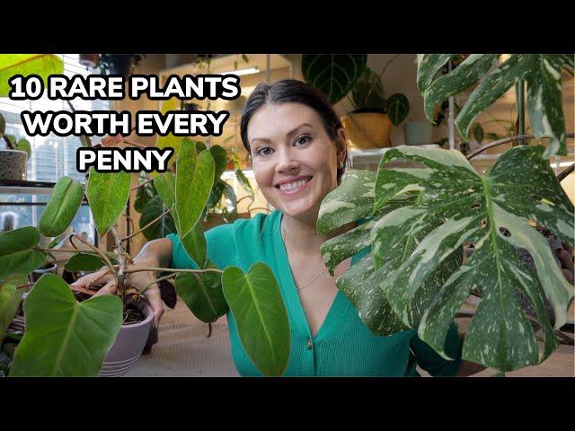 10 Rare Plants WORTH Every Penny - Uncommon Houseplants That You Will Love