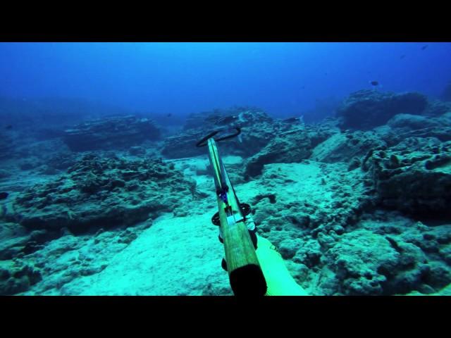 Spearfishing Hawaii