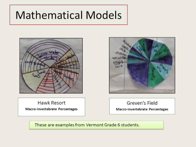 Developing and Using Models for Next Generation Science Standards