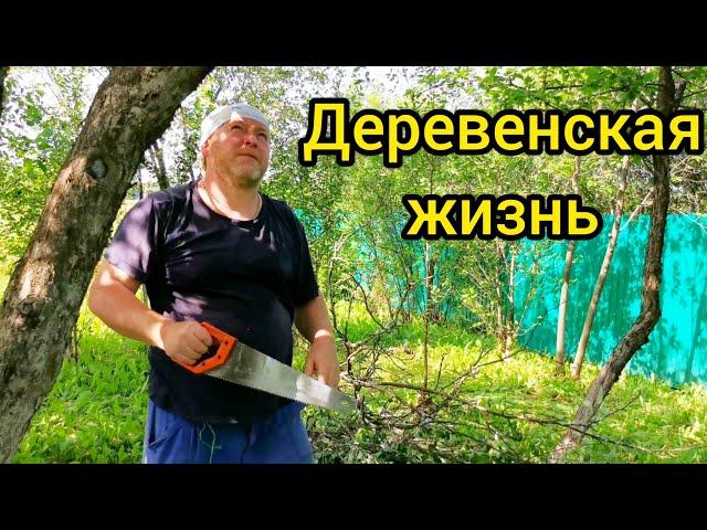 УРА ПЕРВАЯ ГРЯДКА. Деревенская жизнь. Первые посадки.