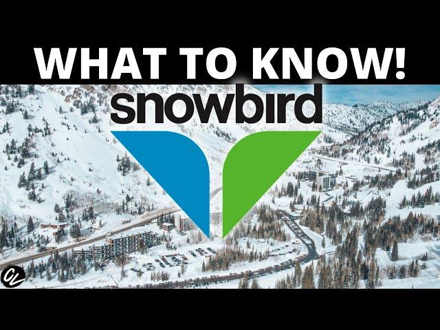 Snowbird Resort Utah!