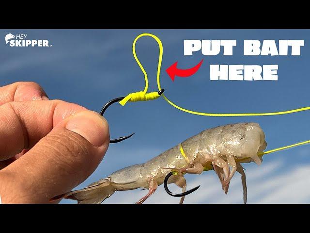 STOP Losing BAIT w/ This KNOT! (Egg Loop Knot Fishing Rig)