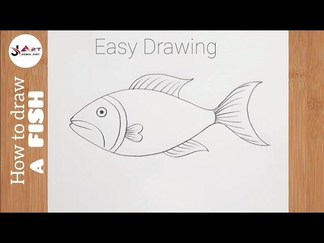 How to Draw Fish (Easy Fish Drawing Tutorial)