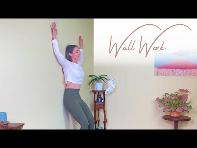 Wall Work - 15 Minute Mobility & Posture Practice Using Paul The Wall