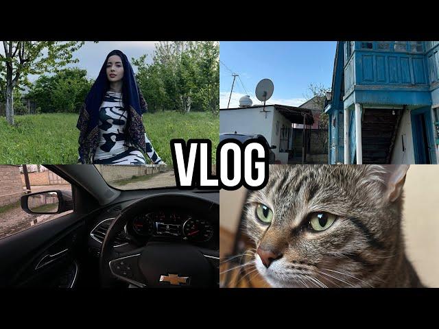 VLOG Из деревни ️ Дурачек опять потерялся ️ Ayka Emilly