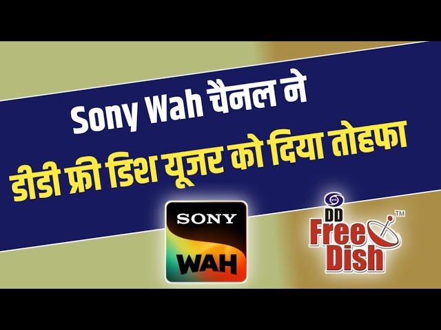 DD FREE DISH BIG UPDATE TODAY | Sony Wah Channel BIG UPDATE TODAY