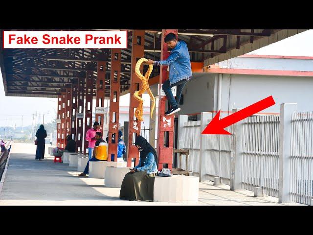 Fake Snake Throwing Prank || Prank Video || 4-Minute Fun