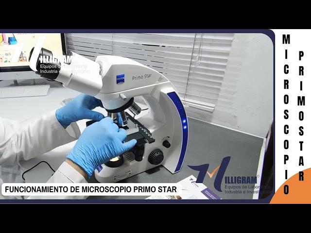 FUNCIONAMIENTO Y PARTES DEL MICROSCOPIO ZEISS PRIMO STAR / PARTE 2