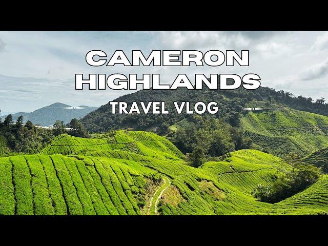 Cameron Highlands Malaysia | Travel Vlog | Mossy Forest | Tea Plantation