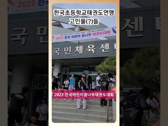 [태권도 경기장 고인물(?)] #shorts #꿈나무태권도#한국초등연맹
