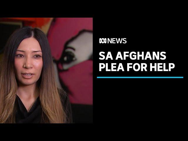 South Australia's Afghan community asks Premier for help | ABC News