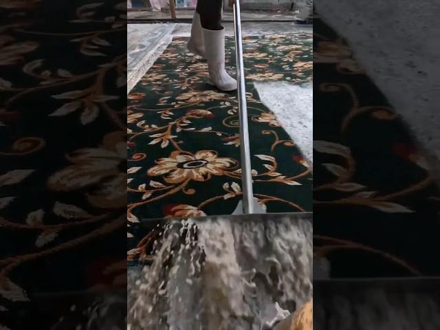 EPIC Timelapse Of This Full Rug Clean. What A RESULT! Satisfying ASMR Timelapse.