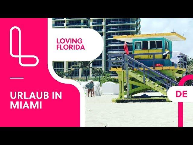 URLAUB IN MIAMI  Die 12 besten Touren in Miami, Florida & den Keys