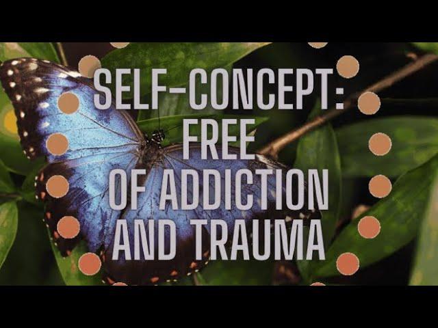 Change Your Beliefs While You Sleep: Releasing Addictions And Traumas  (8 Hour Track)