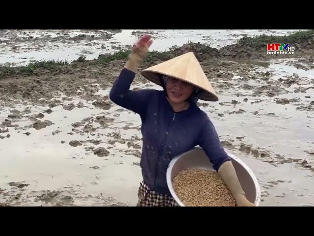 Ung dung KHKT vao san xuat vu Xuan2024
