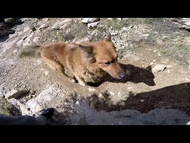 Azrou n Thor ''col de tirourda", pourquoi vous devriez aller ici !