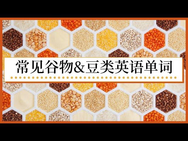 常见谷物&豆类英语单词|零基础英语|穀物&豆類英語單詞|Grains&Beans English Vocabulary