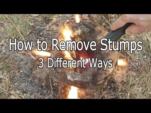 How to Remove Stumps Three Different Ways