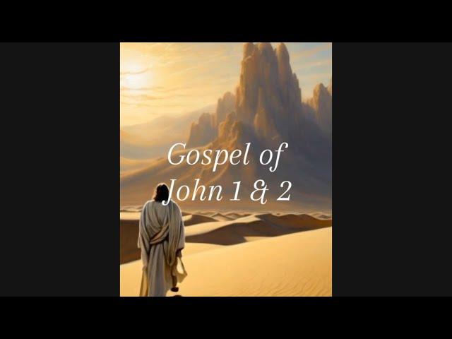 Gospel of John 1&2, Visual and Audio Bible, AI Motion. #christian