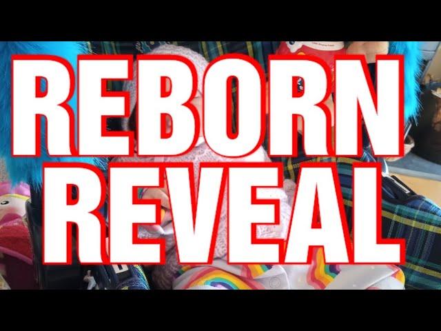 Reborn Reveal my Doll Show purchase 