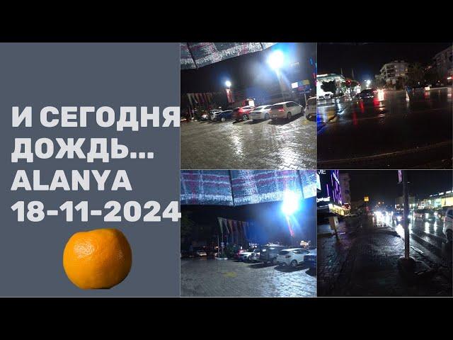 ALANYA 18 НОЯБРЯ 2024 ДОЖДИ ПРОДОЛЖАЮТСЯ