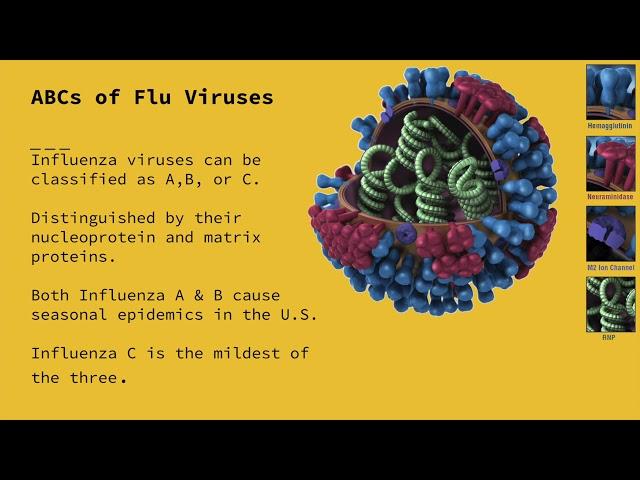 Influenza (The Flu)