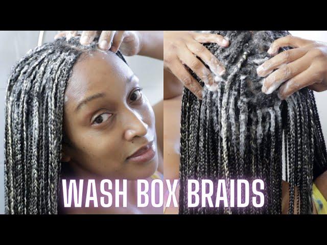 Washing My Box Braids | Protective Styles