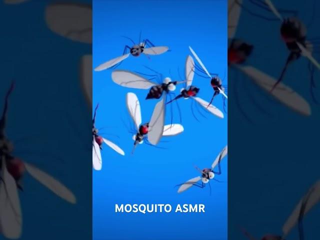 insect, mosquito, mosquito sound, 모기, 모기소리, 蚊,  @소소한ASMR , #shorts #asmr