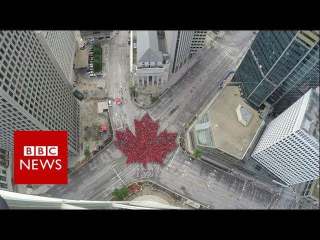 Canada Day: Time-lapse captures 'largest living maple leaf'- BBC News